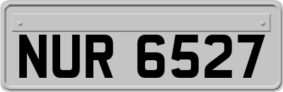 NUR6527