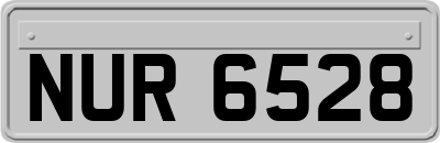 NUR6528