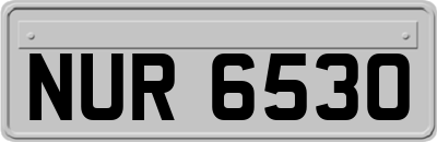 NUR6530