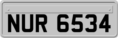NUR6534