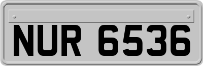 NUR6536
