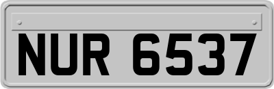 NUR6537