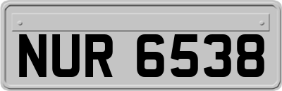 NUR6538