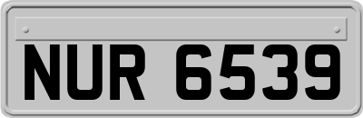 NUR6539