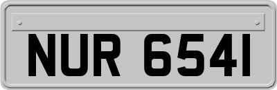 NUR6541