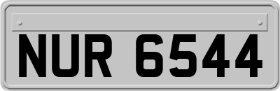 NUR6544