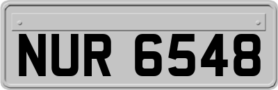 NUR6548