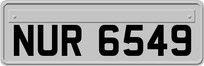 NUR6549