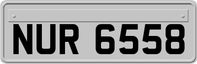 NUR6558