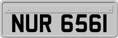 NUR6561