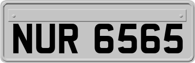 NUR6565