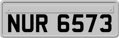 NUR6573