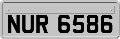 NUR6586
