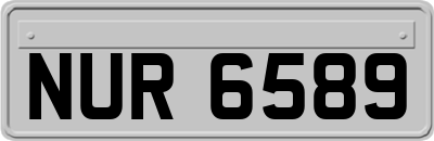NUR6589