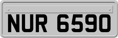 NUR6590