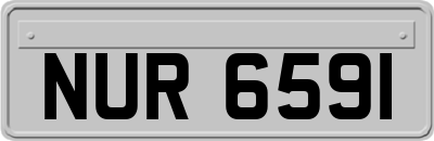 NUR6591