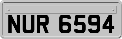 NUR6594