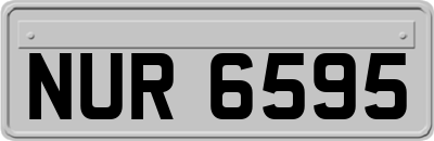 NUR6595