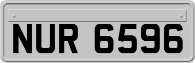 NUR6596