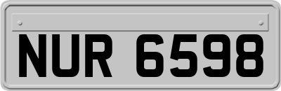 NUR6598