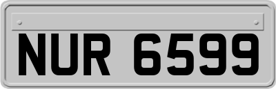 NUR6599