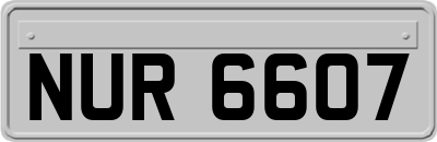 NUR6607