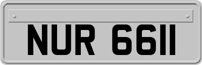 NUR6611