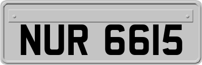 NUR6615