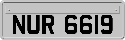 NUR6619