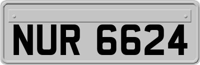 NUR6624