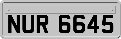 NUR6645