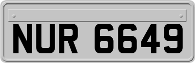 NUR6649