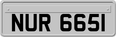 NUR6651