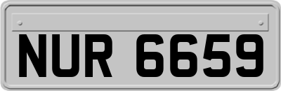 NUR6659