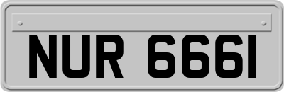 NUR6661