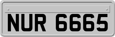 NUR6665