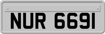NUR6691