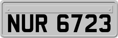 NUR6723