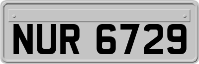 NUR6729