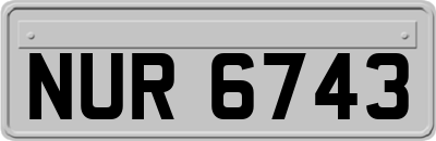 NUR6743