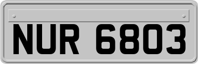NUR6803