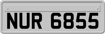 NUR6855