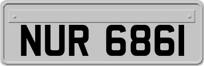 NUR6861