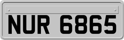 NUR6865