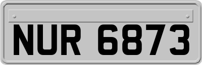 NUR6873