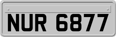 NUR6877