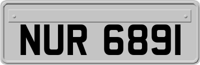 NUR6891