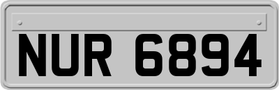 NUR6894