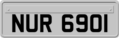 NUR6901