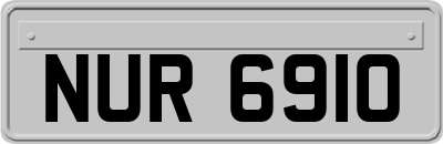 NUR6910
